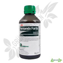 Fernando Forte 300 EC