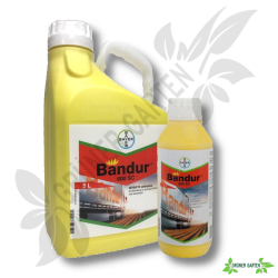 Bandur 600 SC