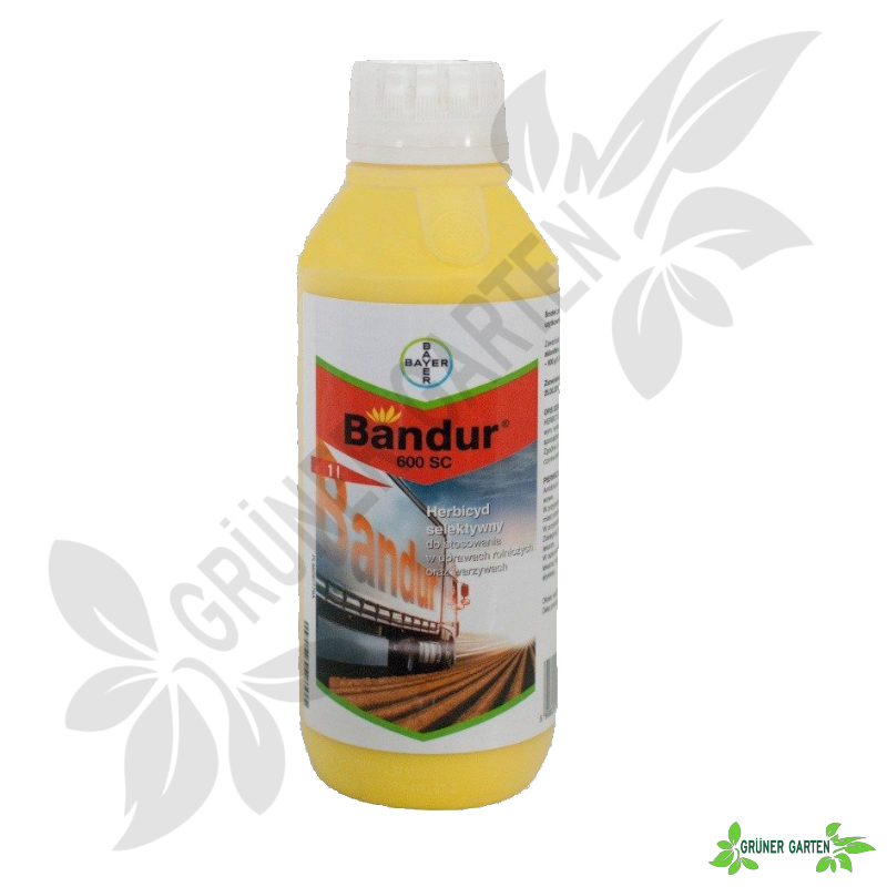 Bandur 600 SC