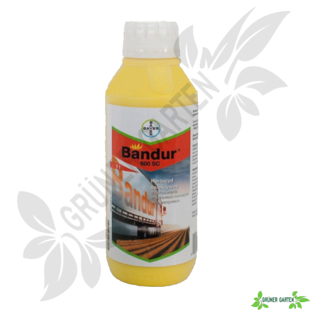 Bandur 600 SC